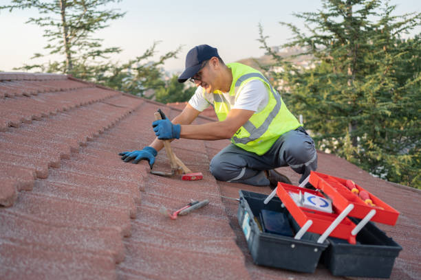 Sealant for Roof in Niwot, CO